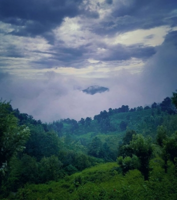 Tourist rush builds up in Nilgiris as Ooty flower show preparations gather pace
