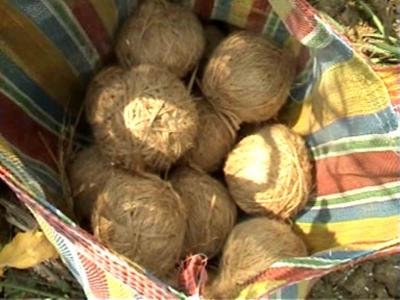 From poll violence to terror supply chains: West Bengal’s crude bomb industry under NIA scanner