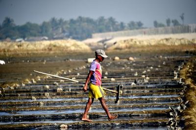 Trade deal with US to hit poor Bangladesh farmers: Expert