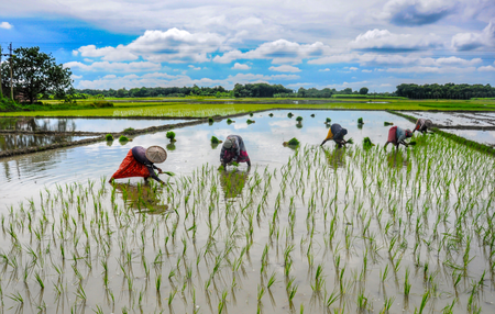 El Nino likely to add to existing inflationary pressures, buffer stocks well-positioned: Eco Review