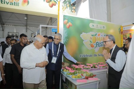 Foreign delegates highlight semiconductor, renewable energy opportunities at VGRC in Surat (Ld)