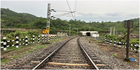 NFR steps up measures to prevent buffalo dashing in Lumding-Badarpur section