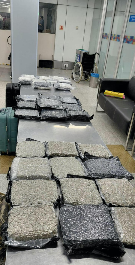 Hydroponic marijuana worth Rs 34.9 crore seized at Delhi airport from Bangkok passengers