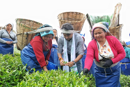‘Living reality of PM Modi’s ‘Vocal for Local’ vision’: Scindia interacts with tea workers at Sikkim’s Temi estate