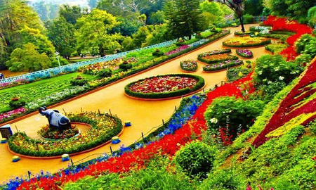 TN’s Ooty flower festival begins today with grand floral displays, heritage themes