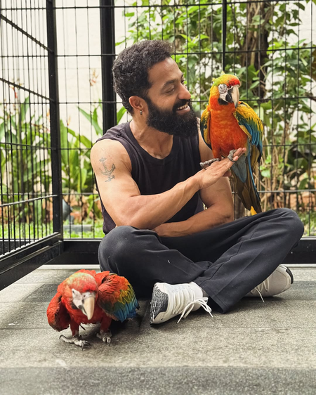 Jr NTR reflects his love for Japan as he introduces his new buddies Asahi & Yuuhi
