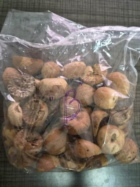 DRI seizes 60,000 kg smuggled foreign origin areca nuts in NE region, 5 held