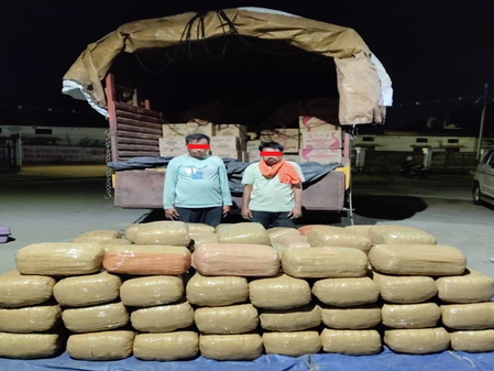 NCB arrests 2 drug traffickers, seizes 702 kg ‘ganja’ in Maharashtra