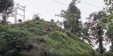 Anti-terrorist operation enters second day in J&K’s Rajouri