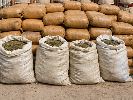 Bihar Police seize over 455 kg ganja in Supaul and Madhubani raids