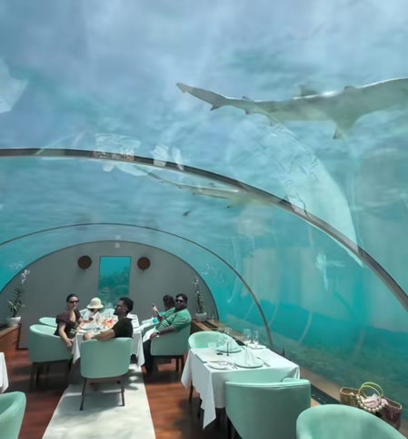Soha Ali Khan enjoys thrilling underwater lunch with Kunal Kemmu & little Inaaya