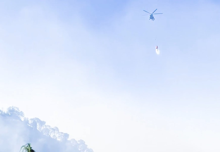 Kasauli forest fire brought under control after massive joint operation by IAF, army