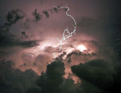 21 heads of cattle perish in lightning strikes in Chhattisgarh