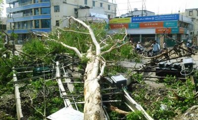 Sudden weather shift brings relief from heat, storm havoc leaves 13 dead in Bihar