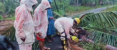 Four killed as rain, strong winds wreak havoc in Andhra