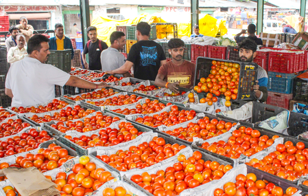 El Nino likely to impact food prices, inflation projected to settle in 5.2–5.5 pc range in FY27