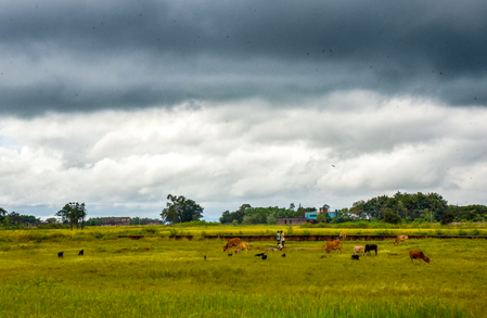 Centre rolls out special kharif plan for 315 vulnerable districts amid El Nino worries