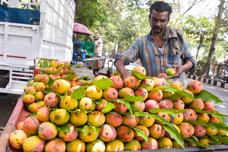Centre announces relief for K’taka mango growers; Union Min Joshi thanks PM Modi, Shivraj Chouhan