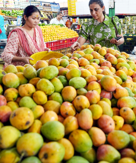 Tripura: Exotic mango under trial for self-reliance