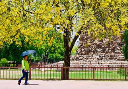 Heatwave-like conditions persist across Delhi as humidity soars