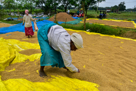 Farm loan waiver: Maha eyes 2.8 pc fiscal cap despite welfare sops