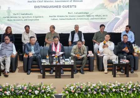 Mizoram eyes global markets for GI-tagged ginger: CM Lalduhoma