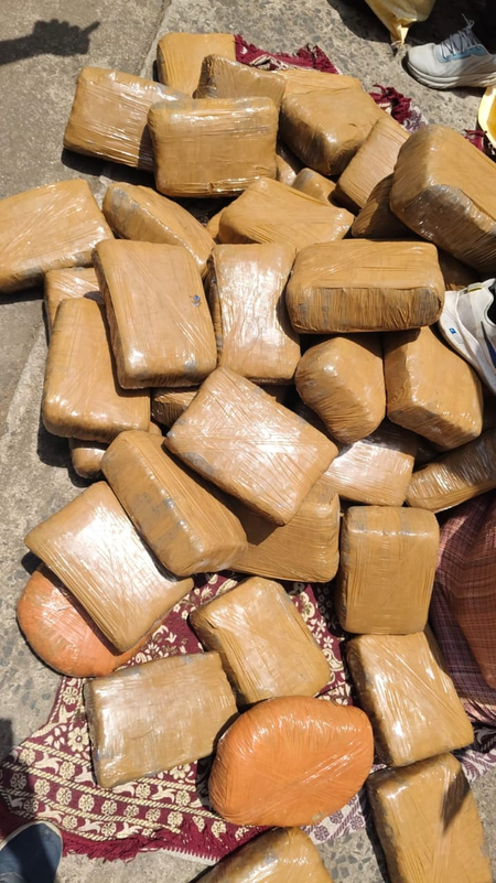 DRI seizes 522 kg cannabis worth Rs 2.61 crore in Nagpur; two arrested
