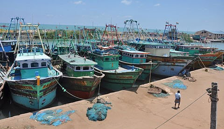 Fishing ban ends today: Over one lakh fishermen in TN prepare to return to sea