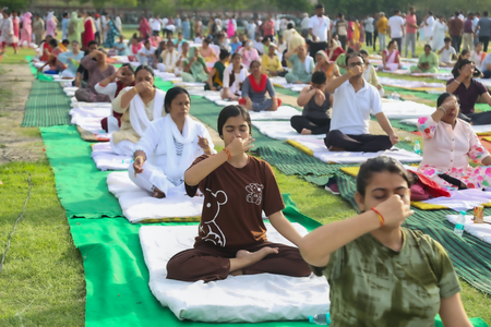 International Yoga Day: Leaders say yoga, Ayurveda generated employment