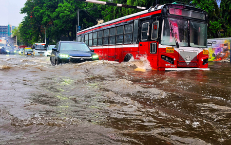 IMD issues alerts for 31 Maha districts; Mumbai reports 113 tree fall incidents
