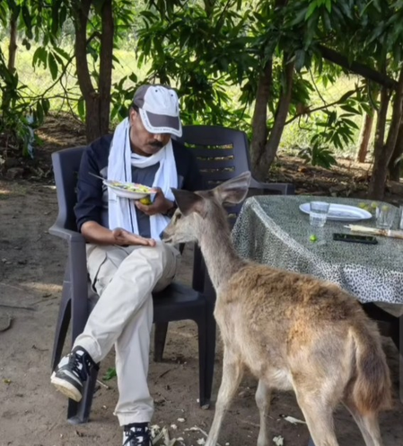 MP: Satpura Tiger Reserve officer suspended for feeding, petting Sambar deer