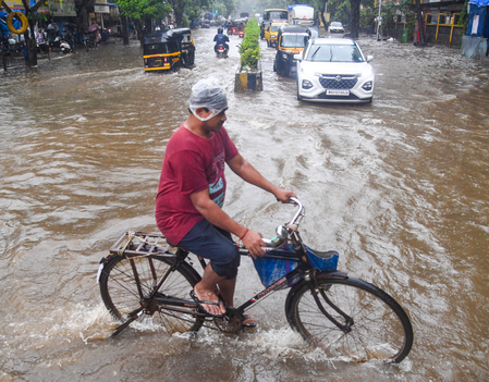 Heavy rainfall lashes Maharashtra, Palghar records 203 mm, rivers cross danger marks