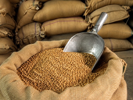 J&K ACB books 14 in Rs 5.57 crore food grain embezzlement case