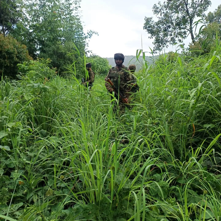 Two Assam Rifles personnel critically injured in suspected Naga group ambush in Manipur