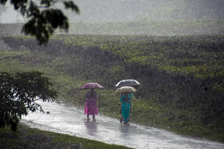 Century’s worst rain ravages Satara, Mahabaleshwar records 513 mm rainfall in 24 hours