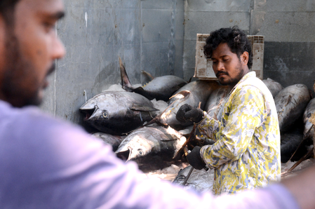 Lakshadweep aims to double tuna production to 50,000 tonnes in five years