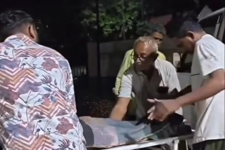 Gujarat: 9-year-old boy mauled to death in suspected leopard attack in Bhavnagar