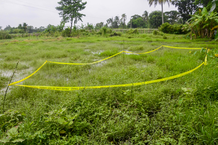 Bengal CID to probe, submit report on Baruipur encounter; judicial inquiry to continue