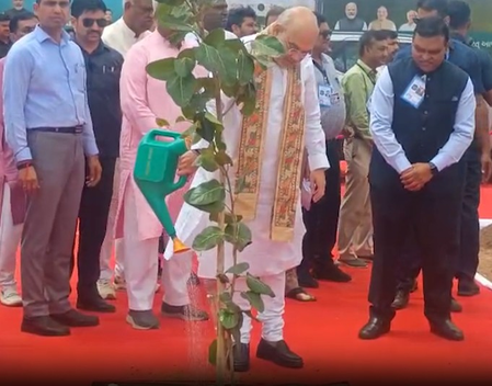 ‘My personal resolve’: Amit Shah targets 20 pc green cover in Gandhinagar by 2029