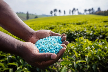 Centre imports 42.7 lakh tonnes of urea for farmers