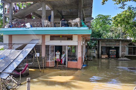 Assam flood: MLAs to donate one month salary for relief measures
