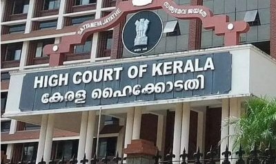 Kerala HC declines protection from arrest for husband of viral Kumbh Mela woman