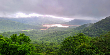 Heavy rain, strong winds to lash Western Ghats districts of TN till August 6