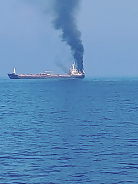 Indian missions across Gulf region providing full support to ships and seafarers: MEA