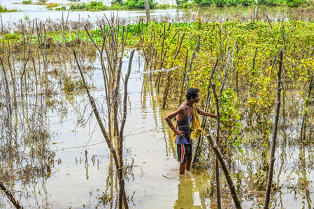 Odisha govt intensifies flood relief measures, announces compensation; over 8 lakhs affected