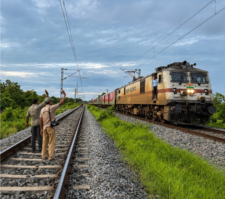 Assam: NFR, Forest Dept coordinate to protect elephants on railway tracks