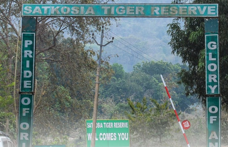Odisha govt forms high-level panel to examine Satkosia relocation process