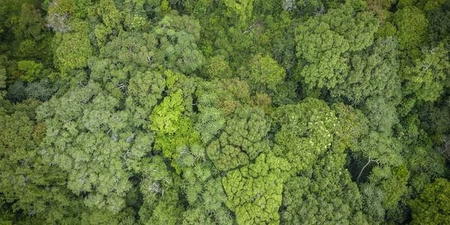 Biodiversity Authority gives Rs 2.82 crore to States under benefit-sharing mechanism   