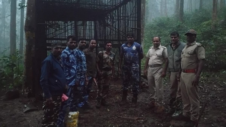 TN: Nilgiris tiger declared man-eater after two fatal attacks