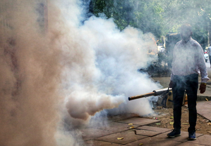 Bengal health department identifies five districts as most dengue-prone
